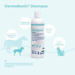 DermaBenSs bottle label highlights ceramides and Vitamin E for moisture.