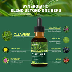 DetoxenNATURE Cleavers, Dandelion, and Horsetail ingredients arranged for detox and drainage.