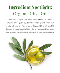DHC Olive Virgin Oil Essential Cream ingredients board highlights organic olive oil and squalane
