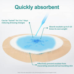 Dimora waterproof breathable film provides a barrier while allowing air and moisture.
