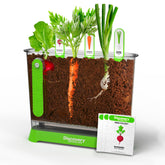 Discovery Edible Veggie Garden container lets kids observe roots and growth up close