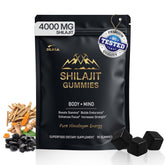DLNIA Shilajit Gummies bottle shows a 13-in-1 formula for daily energy.