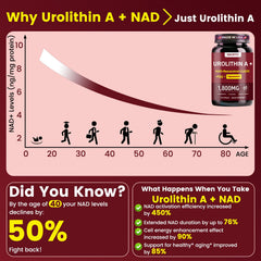 DNCDTYY energy-support capsules depicted for daily vitality.