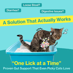 Doctor By Cat Biome probiotics closeup palatable gel texture for cats.