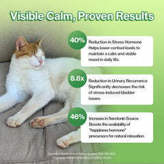 Doctor By Cat Lactium ingredient highlights a soothing effect for tense cats.