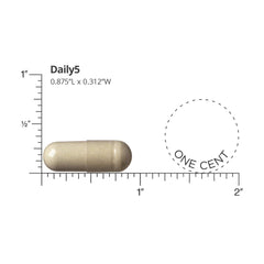 DOCTORS' PREFERRED Daily5 capsules close-up of vegan capsules for daily wellness.