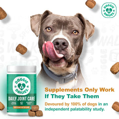 Doggie Dailies glucosamine chondroitin dog chews with MSM and omega blend for connective tissue support.