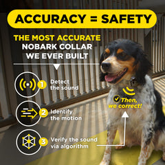 Dogtra e-collar correction modes offer customizable behavior shaping.