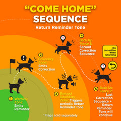 Dogtra GPS Fence no-wires setup highlighting quick, mess-free installation