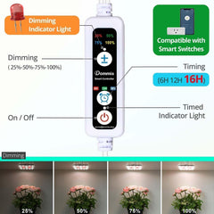 DOMMIA auto-timer and dimmable LED light for customizable day cycles.