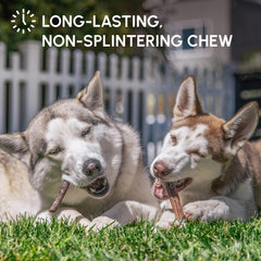 Downtown Pet Supply USA-sourced bully sticks ensure quality and traceability for pets