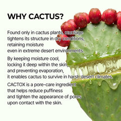 Close-up of cactus-inspired gel texture in the pad