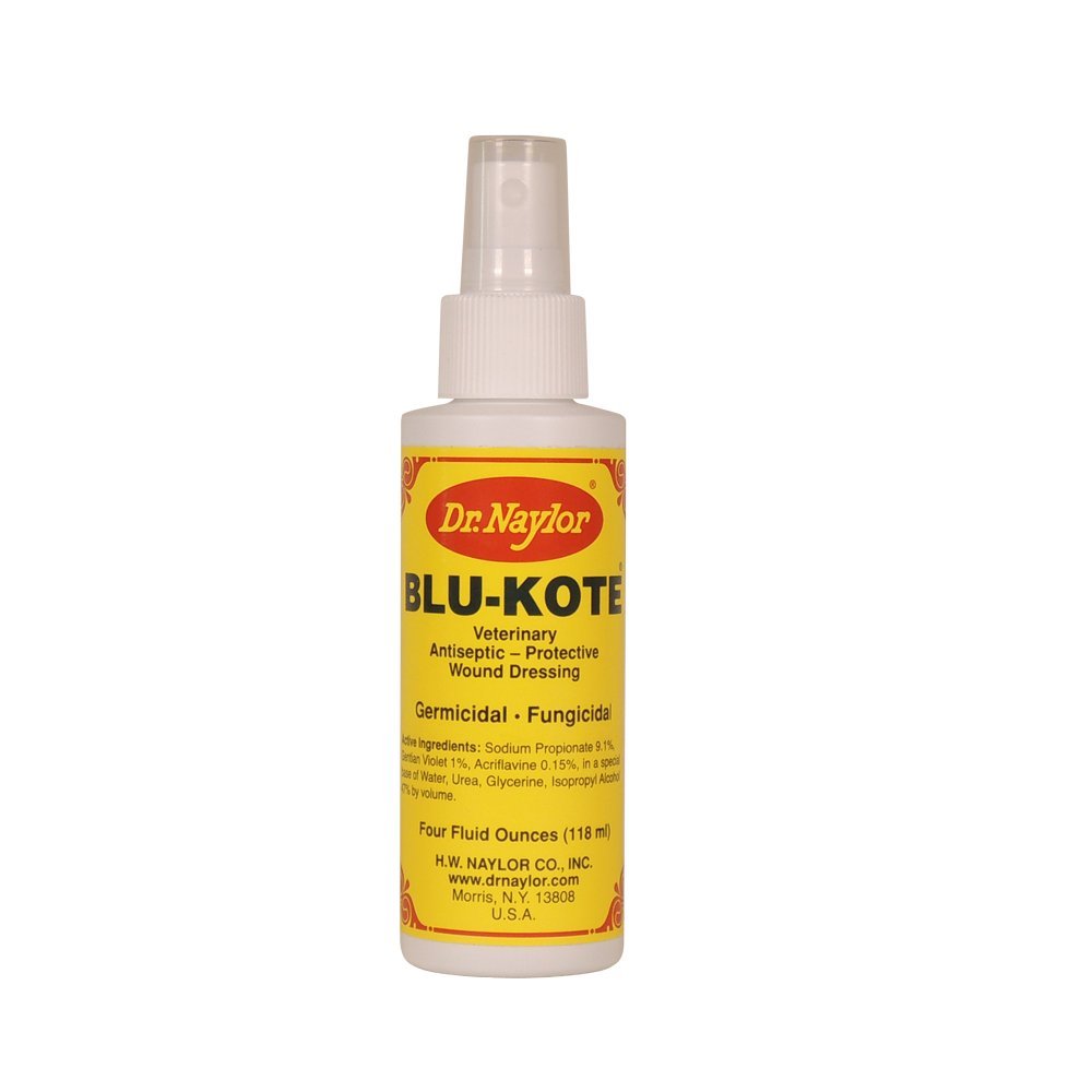 Dr. Naylor Blu-Kote pompe-bouteille, favorise le séchage rapide et la cicatrisation des plaies.