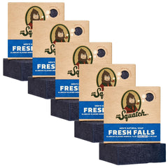 Dr. Squatch Fresh Falls packaging, gift-ready presentation for daily grooming.