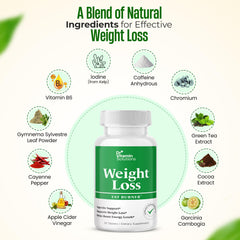 DR VITAMIN SOLUTIONS green tea extract label emphasizing metabolism support