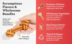 Collagène de type II dans CollaYUMS pour chiens actifs.