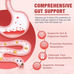 DRFOSTER five-probiotics-per-serving capsules promote digestive balance