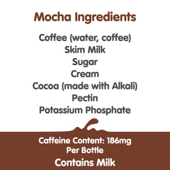 Dunkin Mocha Iced Coffee bottle side showcases portable energy for busy days