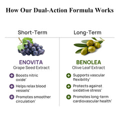 Durable Blood Pressure olive leaf extract close-up emphasizing oleuropein content for vascular support