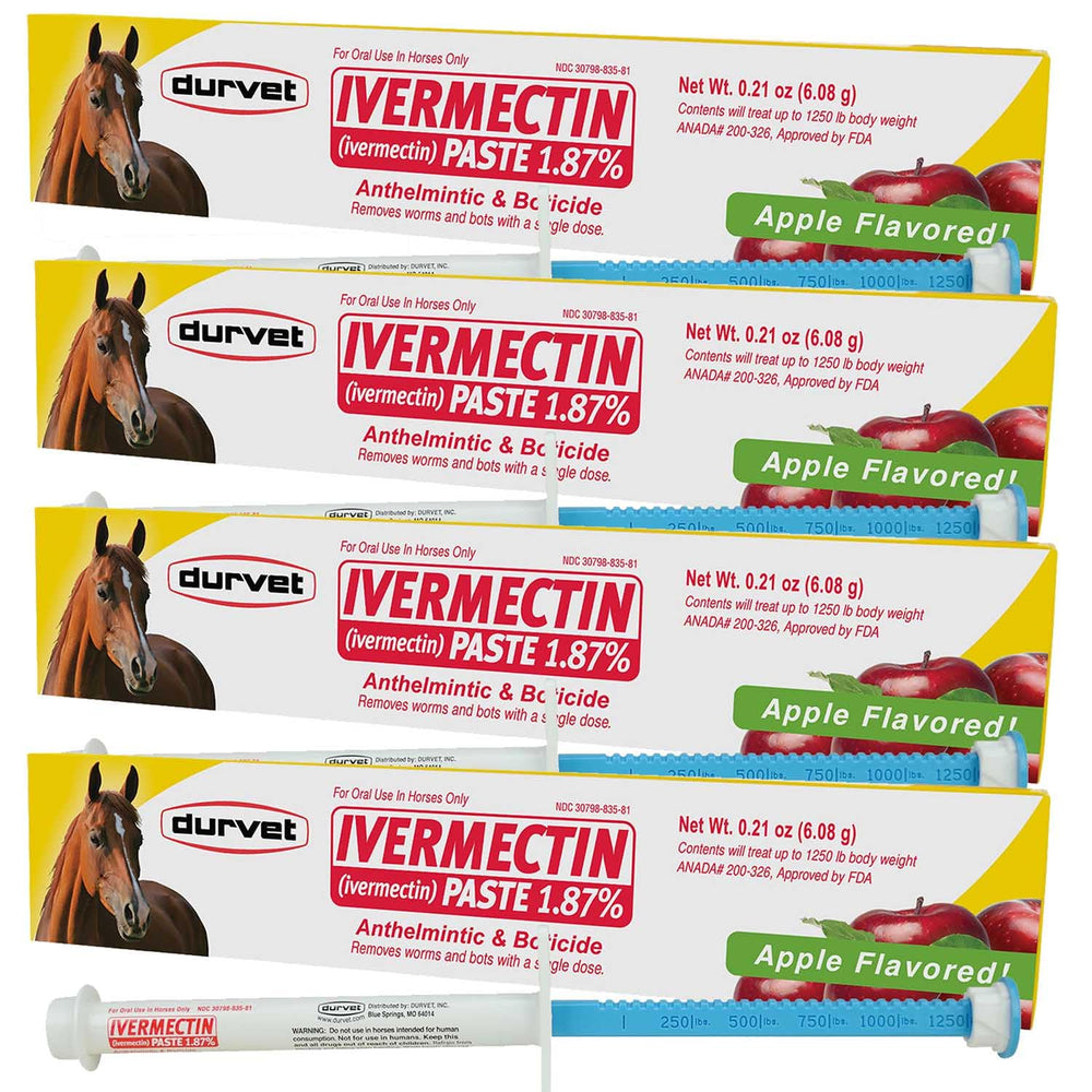 Durvet Ivermectin 4-Pack paste-gel bottle for horses; easy administration and broad parasite protection.