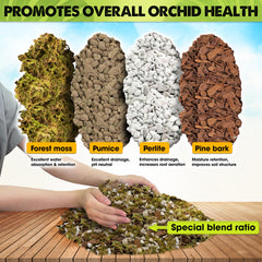 Duspro orchid mix with pumice and bark demonstrates excellent drainage in action.