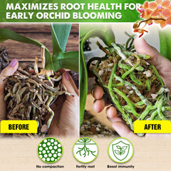 Duspro Orchid Potting Mix with chunky perlite maintains airy, well-draining substrate for orchids.