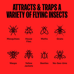 Inside view shows the whisper-quiet fan drawing insects into the catch basket.
