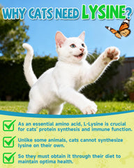 Eagou Diary L-Lysine for Cats dropper in use for easy dosing