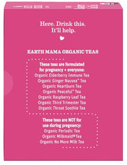 Earth Mama Organic Red Raspberry Leaf Tea hot cup ready for daily ritual