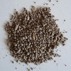 Earth Science 13-species wildflower blend supports diverse, long-lasting blooms in partial shade.