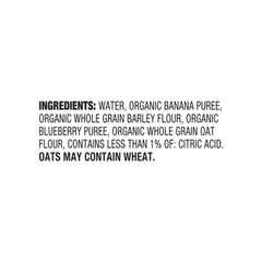 Earth's Best Fruit and Vegetable Purée pouch for introducing new flavors