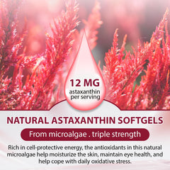 Echoes of the Spring softgels closeup showing easy-to-swallow capsules