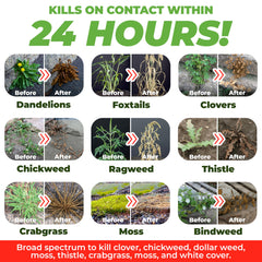 ECO Garden Pro weed-kill action in a garden setting delivering fast results.