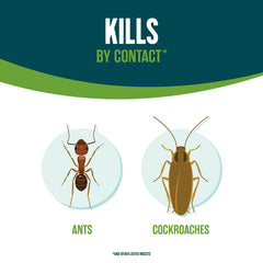 EcoLogic spray applied to walls and baseboards targets common indoor pests.