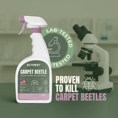 ECOPEST Spray reaching baseboard seams shows targeted treatment.