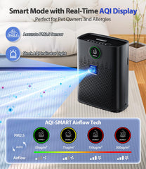 ECOSELF HAP603 display panel with real-time PM2.5 readings and status