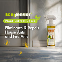 EcoVenger spray action on ants showing quick knockdown and disrupted trails