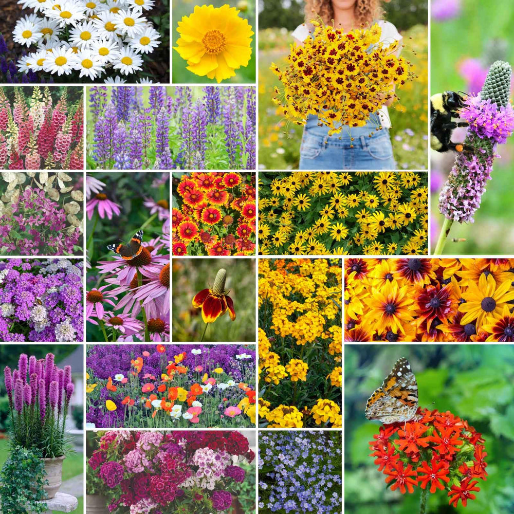 Eden Brothers All Perennial Wildflower Seeds in a 1 lb bag for pollinator-friendly gardens.