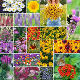 Eden Brothers All Perennial Wildflower Seeds in a 1 lb bag for pollinator-friendly gardens.