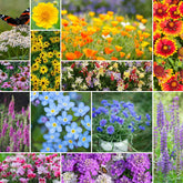 Eden Brothers deer-resistant wildflower mix seed bag ready for easy planting and color