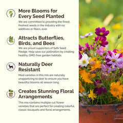 Eden Brothers Florida wildflowers blooming in a sunny garden bed.