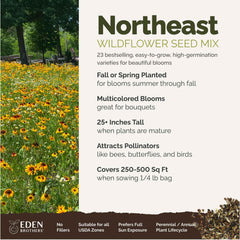 Eden Brothers pollinator-friendly garden bloom scene promoting bees and butterflies