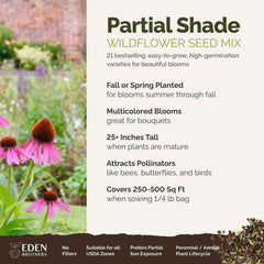 Eden Brothers wildflower seed mix blooming colors ideal for shady borders and ground cover.
