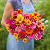 Eden Brothers Zin Master seed-mix-pack for vibrant border color.