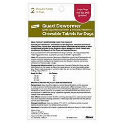 Elanco Quad Dewormer beef-flavored tablet shown for easy chewing.