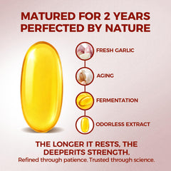 ELARE 15:1 aged garlic extract capsule delivering high concentration in a softgel