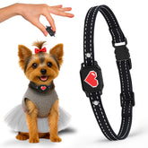 ELECANE bark collar for small dogs with compact, all-day wear comfort.