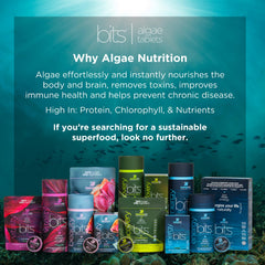 ENERGYBITS tablets close-up highlighting plant-based protein for steady energy.