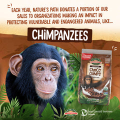 Close-up of cocoa-coated puffs in EnviroKidz Choco Chimps cereal.