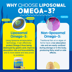 EnvyCure vegan omega-3 gummies label close-up highlighting lidless design